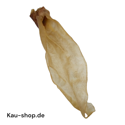 Ziegenohren XL