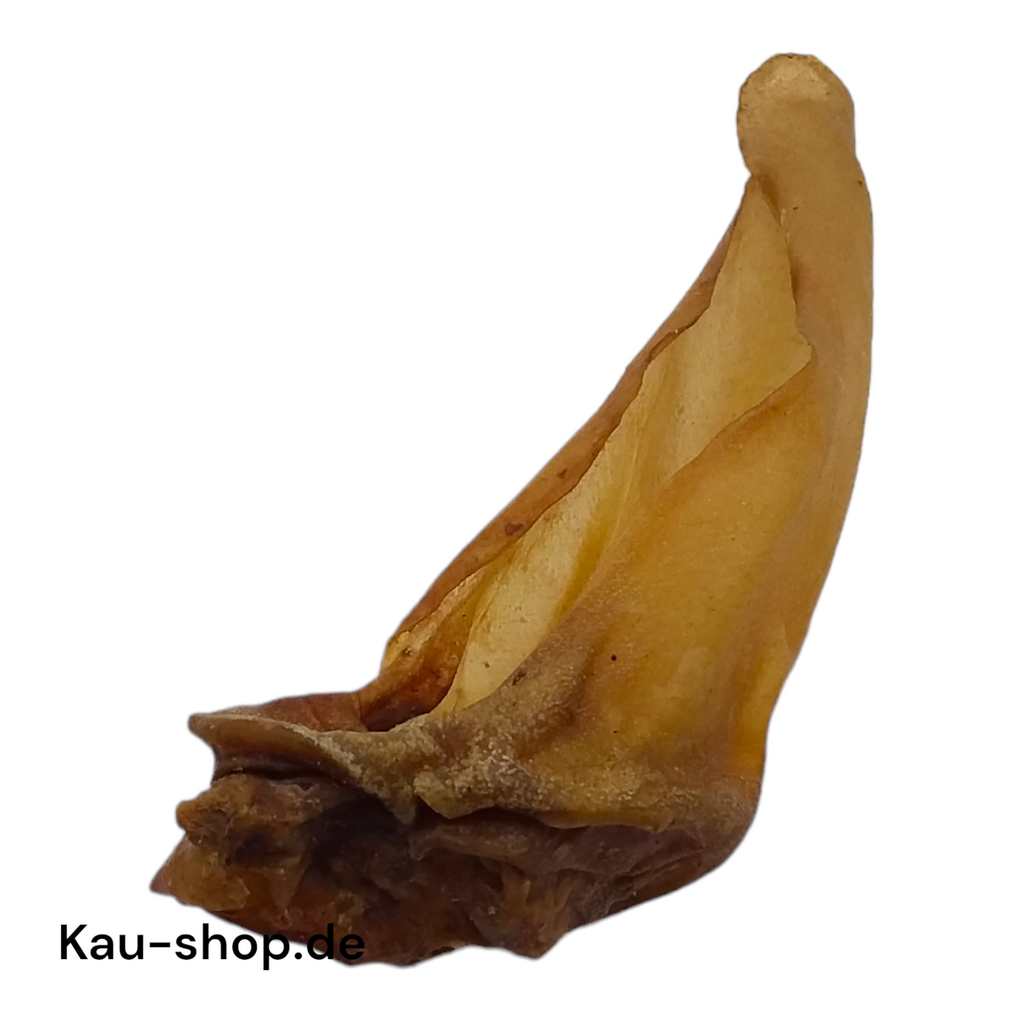Deer ear without fur