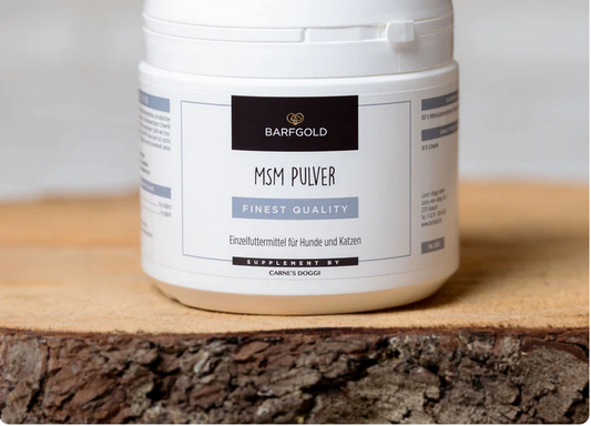 MSM 250 g Dose