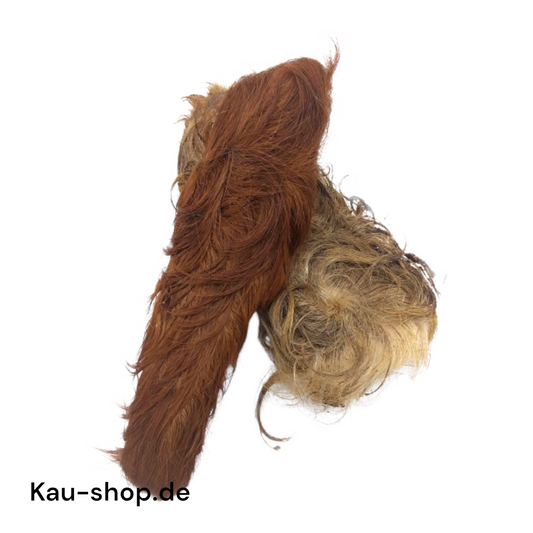 Rinder-Kopfhaut mit Fell, ca.15cm