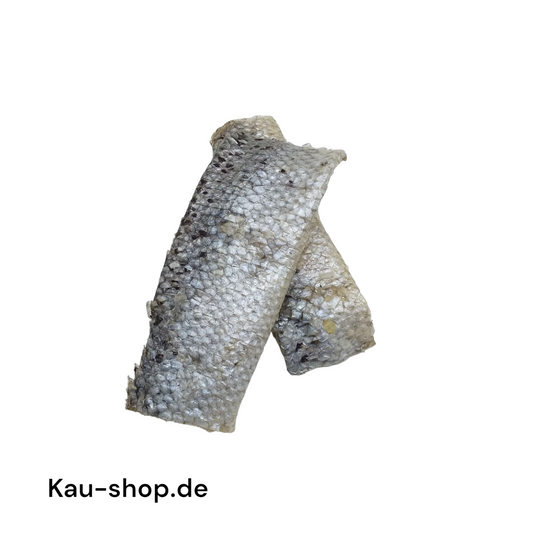 Lachs-Haut