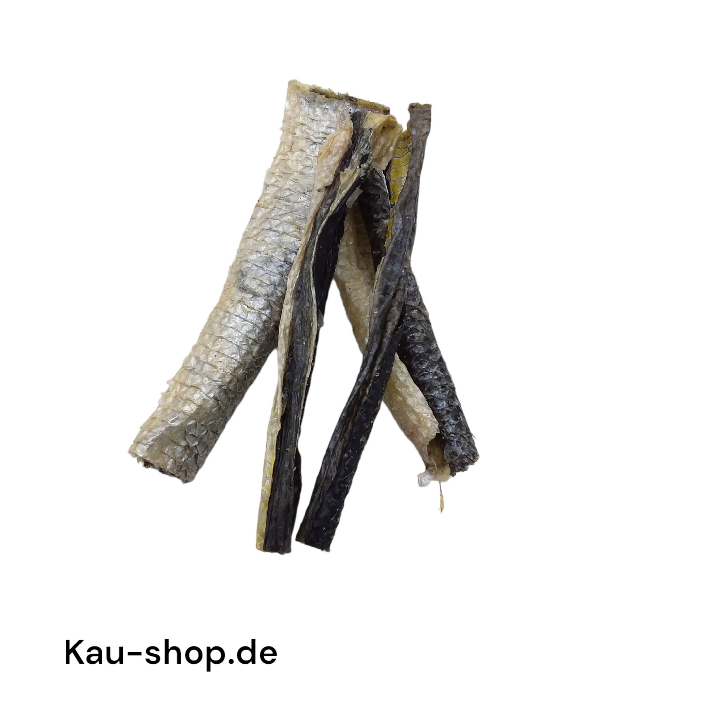 Lachs-Haut