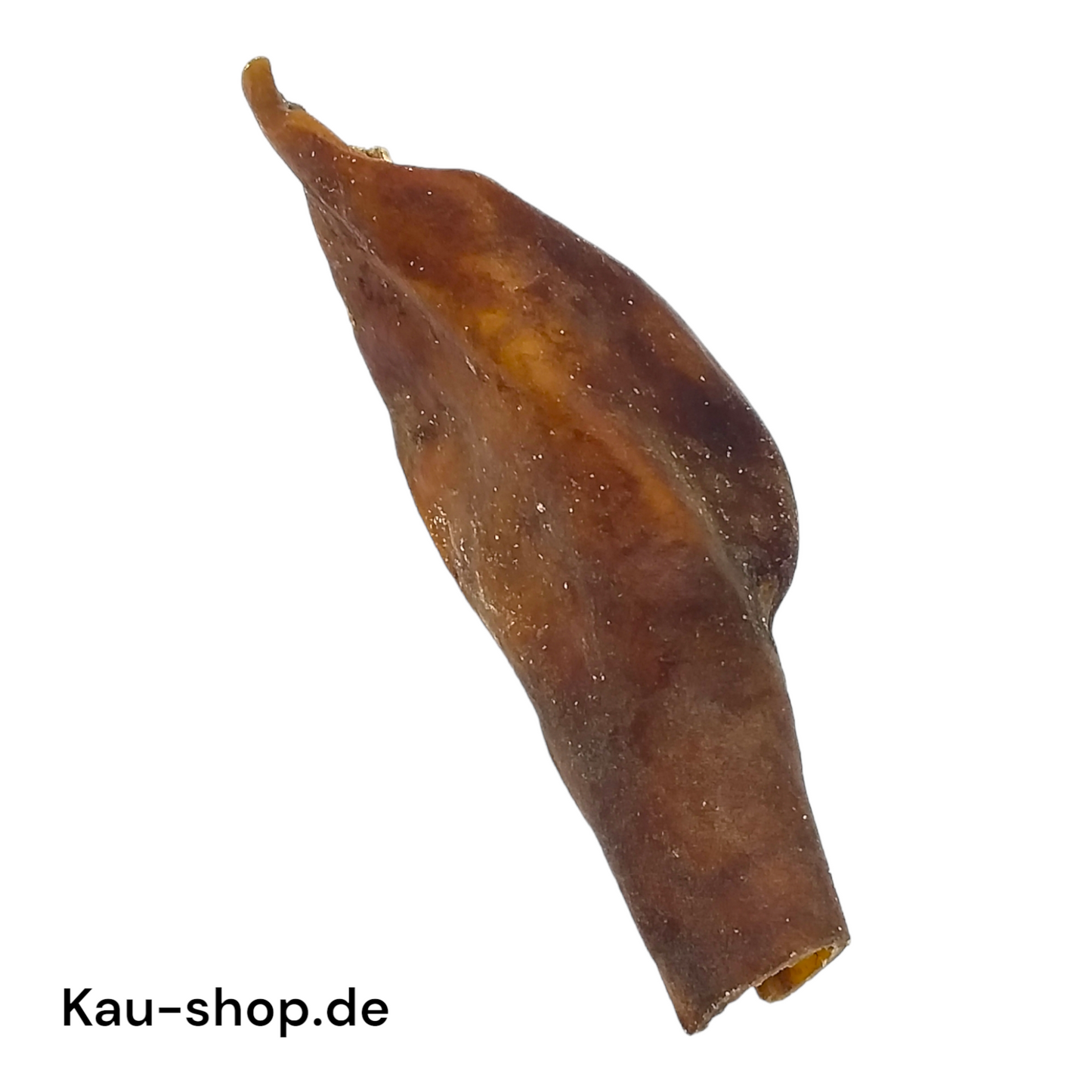 camel skin