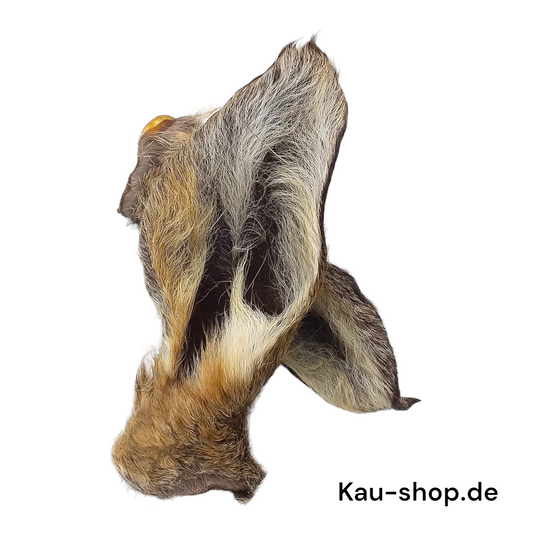 Deer ear with fur