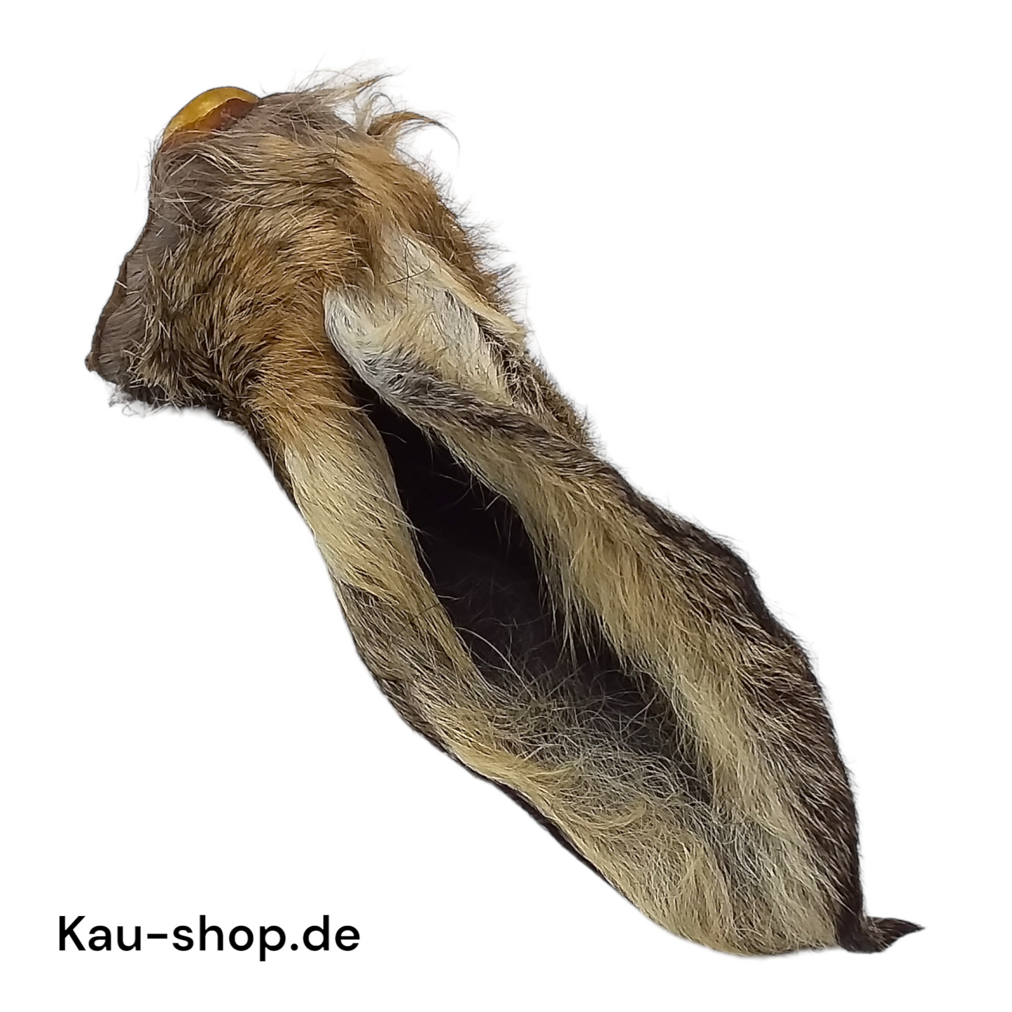Deer ear with fur