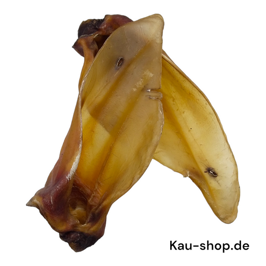 Rinderohren mit Muschelansatz