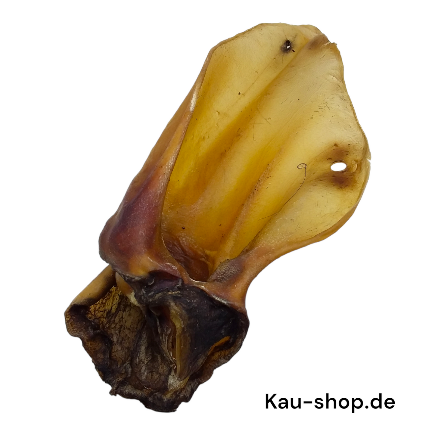 Rinderohren mit Muschelansatz