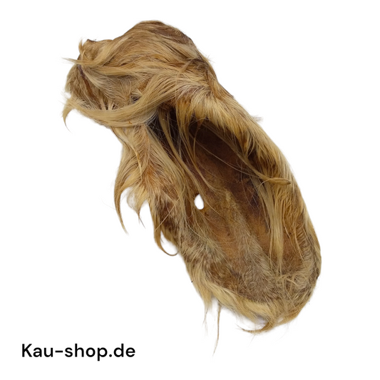 Rinderohr mit Fell