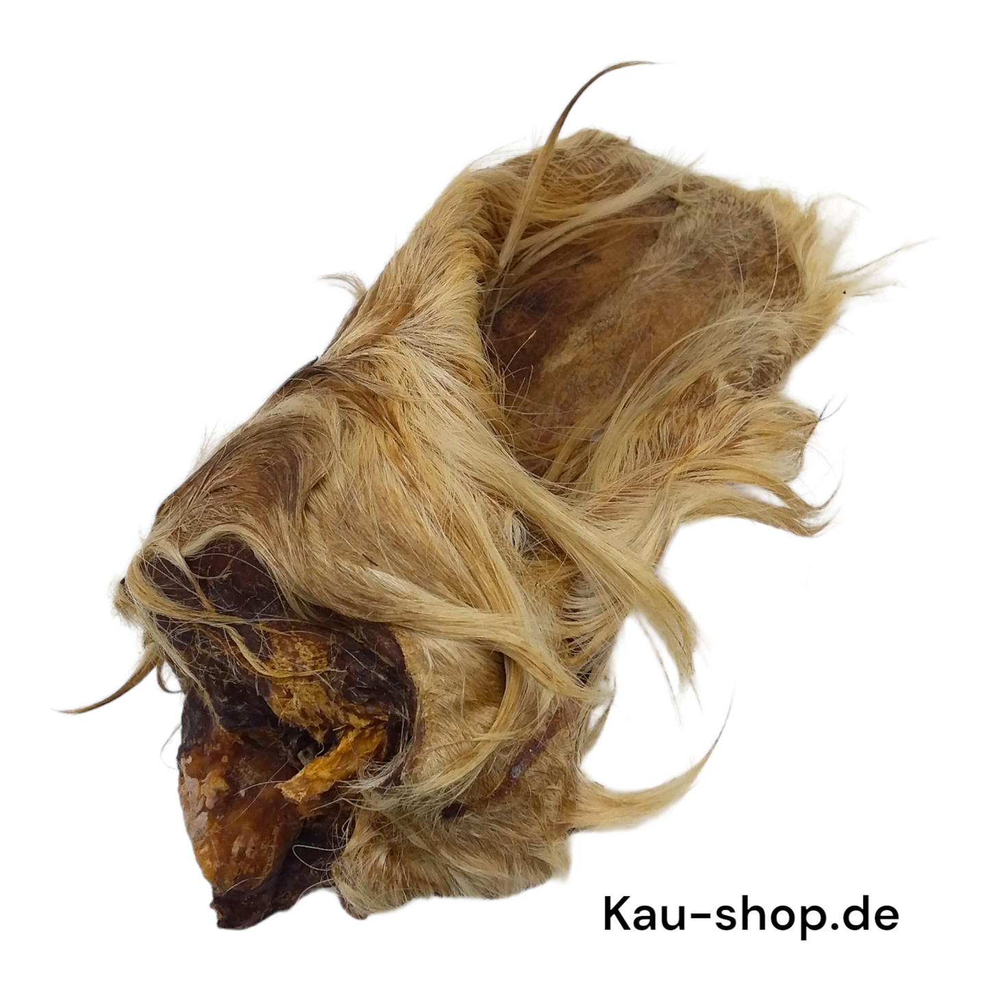 Rinderohr mit Fell