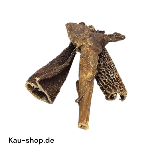 Rinderpansen