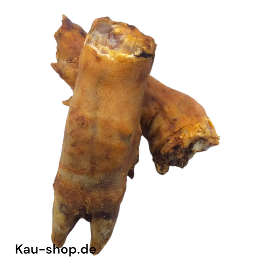 Schweinefuß